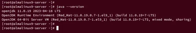 checking openjdk