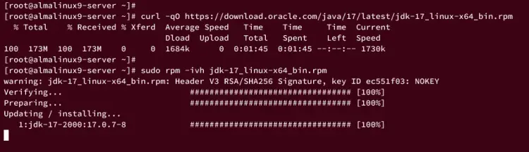 installing oracle jdk 17