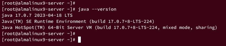 checking oracle jdk 17