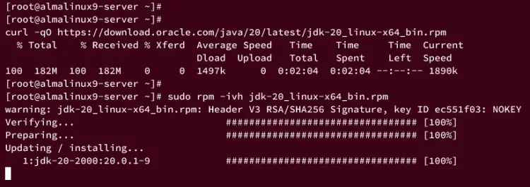 installing oracle jdk 20