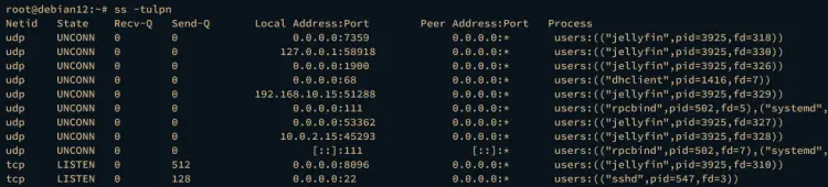 checking jellyfin port