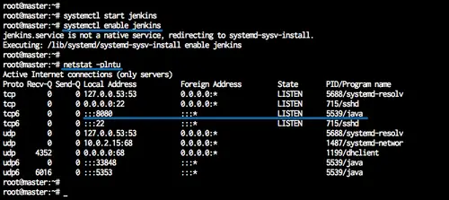 Jenkins server enabled and started