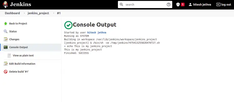 Console Output