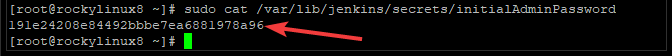 Setting Up the Jenkins Server