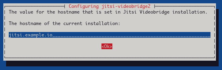 Setup Jitsi Domain