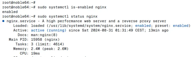 check nginx