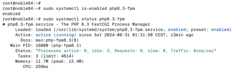 check php-fpm