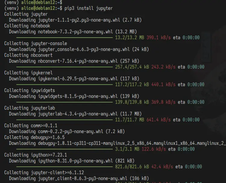 install juopyter