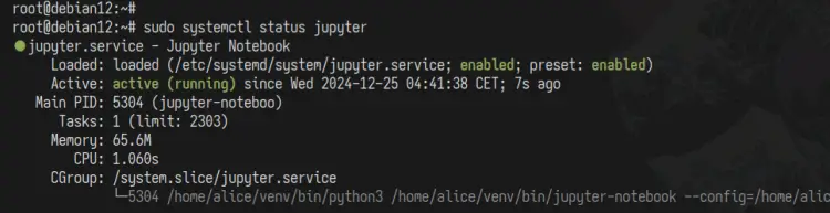 jupyter status