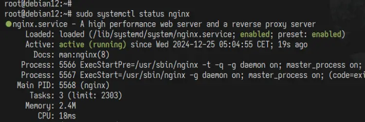 check nginx