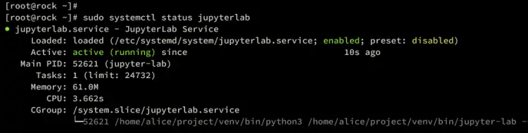 check jupyterlab service