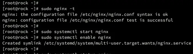 setup nginx