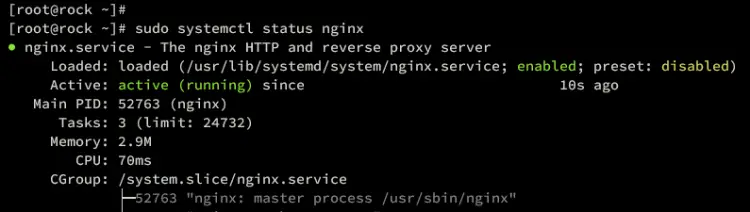 verify nginx