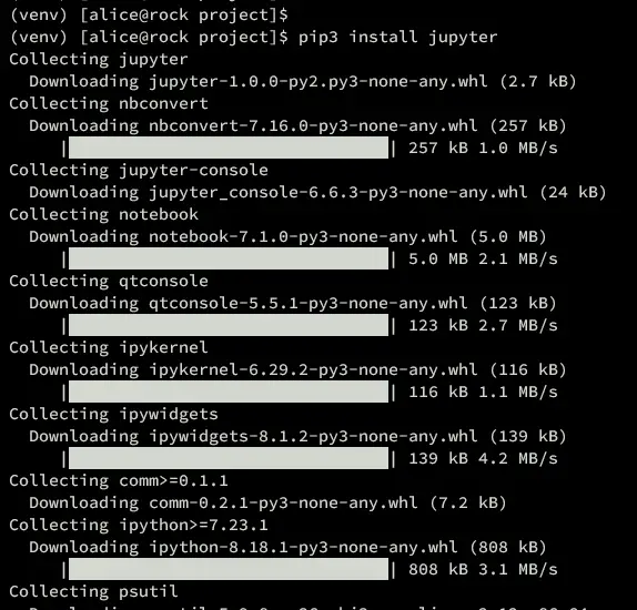 install jupyterlab