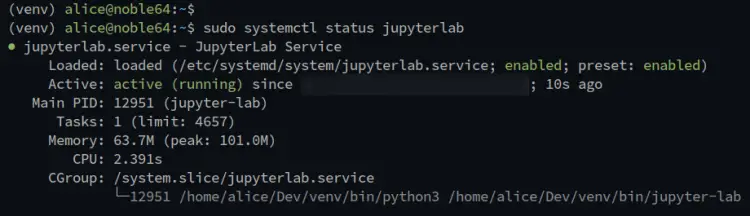 check jupyter status