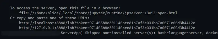 jupyter token
