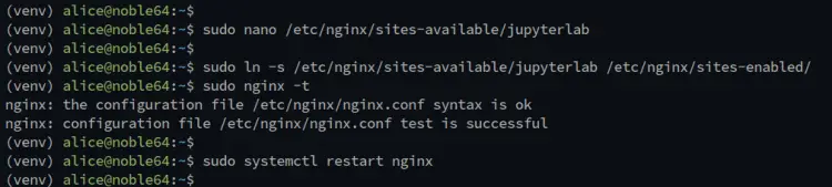 setup nginx reverse proxy