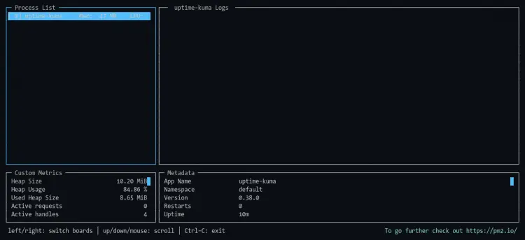 Realtime application monitoring pm2