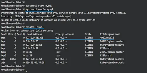 Start and check MariaDB