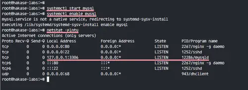 Start and test MariaDB