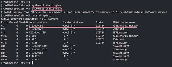 Install Nginx on CentOS 7