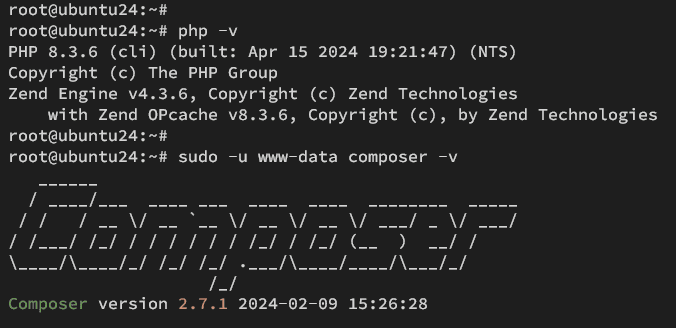 check php and composer
