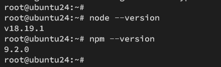 check node.js npm version