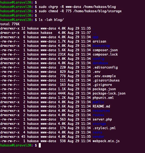 Setup Laravel Project