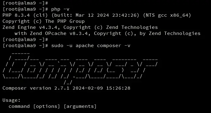 check php and composer