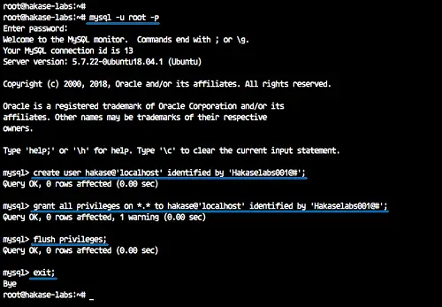 Configure a MySQL user