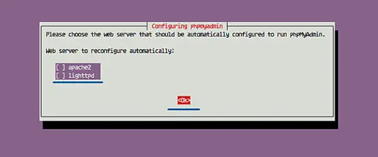 Do not select to configure a web server