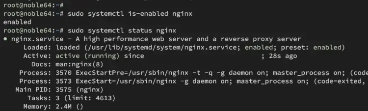 check nginx service