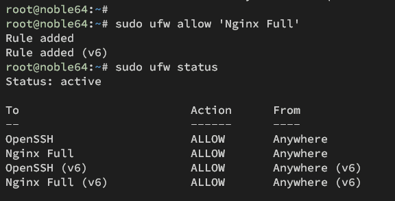 setup nginx ufw