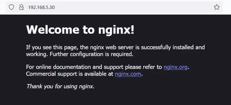 nginx index