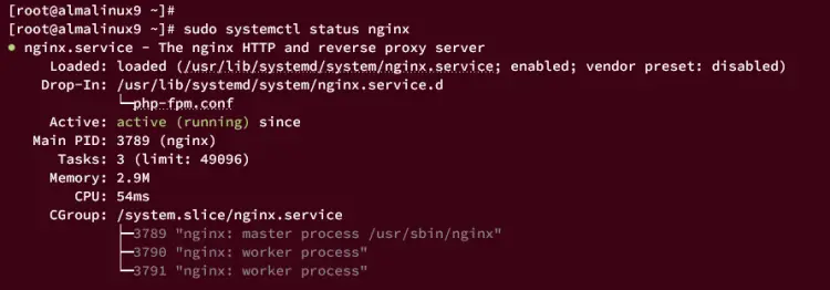 verify nginx