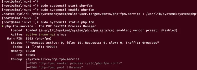 start verify php-fpm