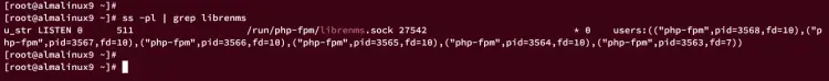 check php-fpm sock