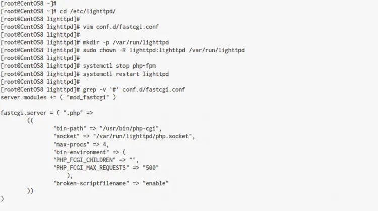 Lighttpd with PHP self-spawned service