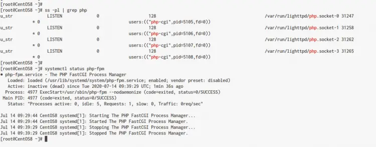 Lighttpd with PHP Self-Spawned Service