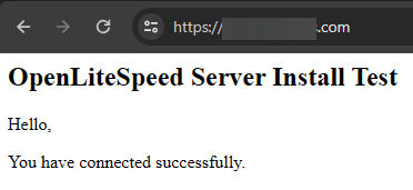OpenLiteSpeed Site Test