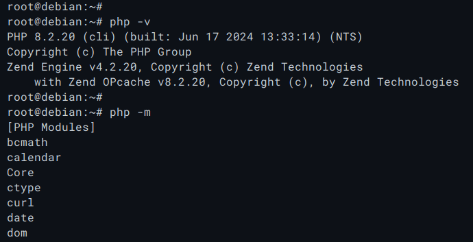 check php version