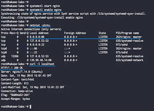 Install Nginx web server