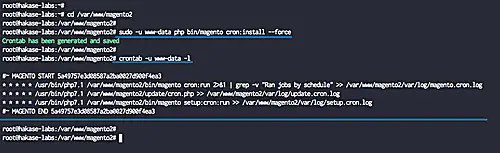 Setup Magento indexer cronjob