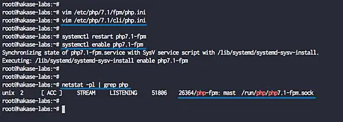 Check PHP-FPM socket