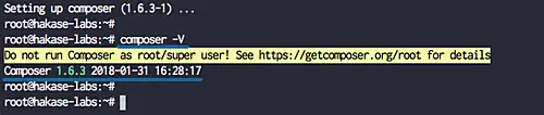 Install PHP composer