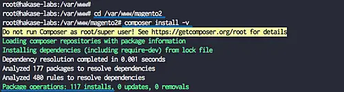 Check composer version