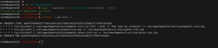 Magento Setup Cron and Remove Write Permission