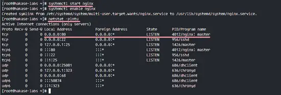 Install Nginx on CentOS 7