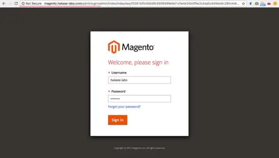 Magento Admin Login Page