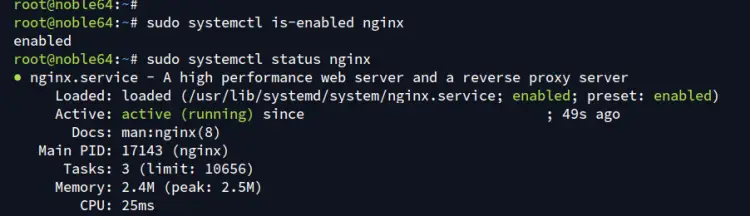 check nginx